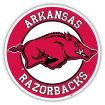  Arkansas Razorbacks