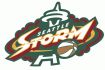 Seattle Storm